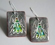 insect